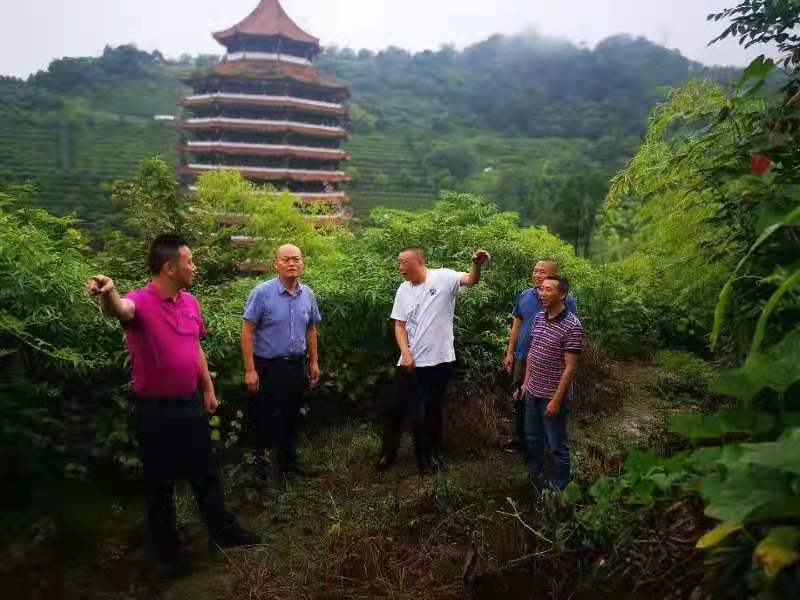 香港正版六台盒宝典资料大全